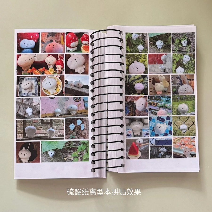 Original Tape - papa's Photo Album