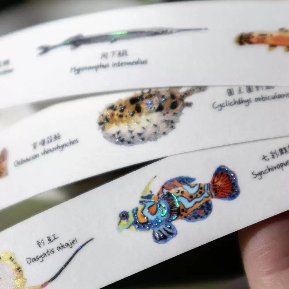 Washi Tape - Full of Fish