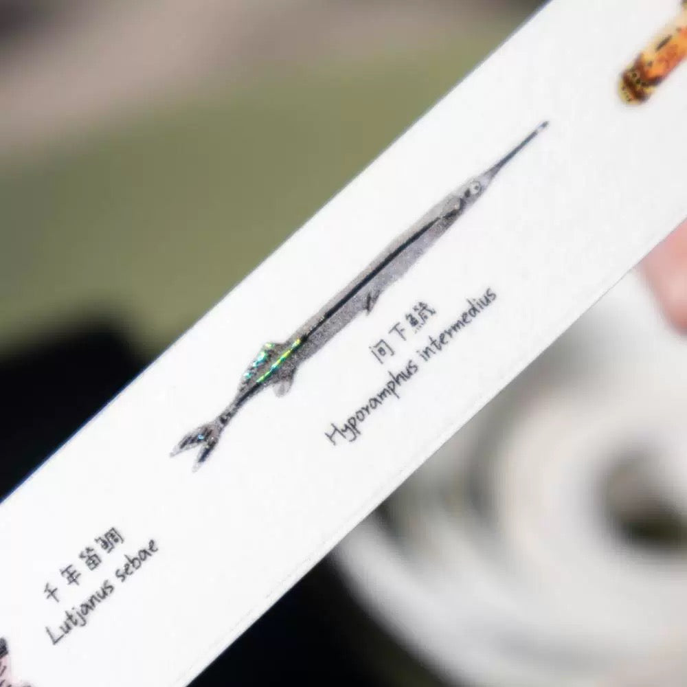 Washi Tape - Full of Fish