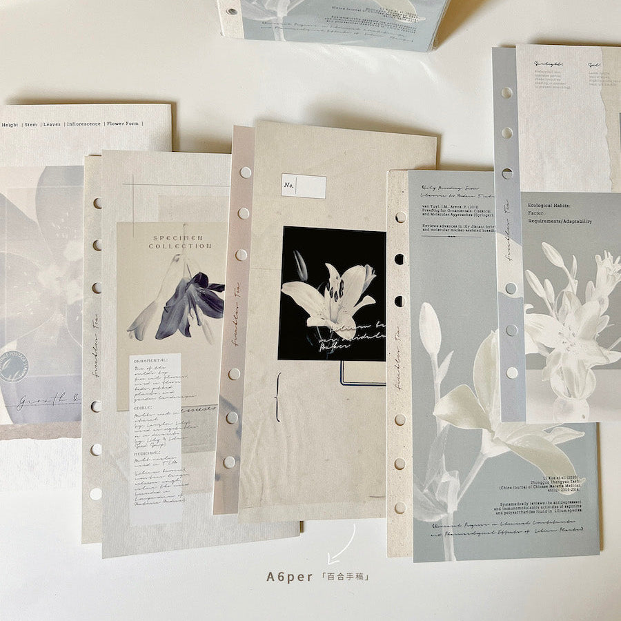 Lily Manuscript Two-fold Loose Leaf Paper Refills - A6 Personal & M5 Size