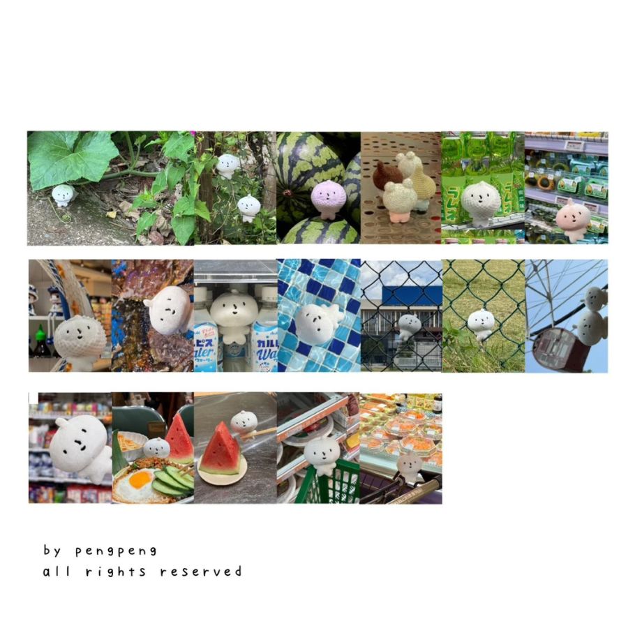 Original Tape - papa's Photo Album